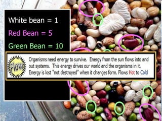 White bean = 1
Red Bean = 5
Green Bean = 10
 