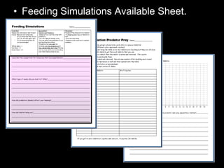 • Feeding Simulations Available Sheet.
 