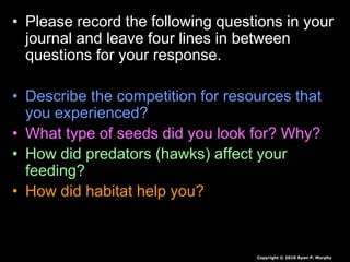 • Please record the following questions in your
journal and leave four lines in between
questions for your response.
• Describe the competition for resources that
you experienced?
• What type of seeds did you look for? Why?
• How did predators (hawks) affect your
feeding?
• How did habitat help you?
Copyright © 2010 Ryan P. Murphy
 