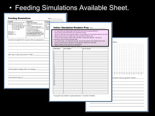 • Feeding Simulations Available Sheet.
 