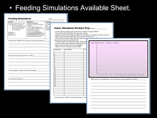 • Feeding Simulations Available Sheet.
 