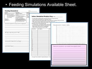 • Feeding Simulations Available Sheet.
 