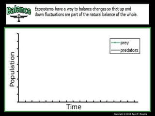 • Typical Predator and Prey population
graph.
Copyright © 2010 Ryan P. Murphy
*
 