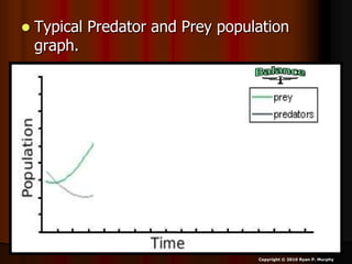  Typical Predator and Prey population
graph.
Copyright © 2010 Ryan P. Murphy
 