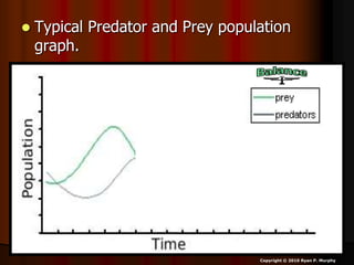  Typical Predator and Prey population
graph.
Copyright © 2010 Ryan P. Murphy
 