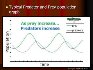  Typical Predator and Prey population
graph.
Copyright © 2010 Ryan P. Murphy
 