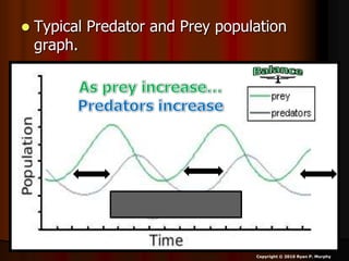  Typical Predator and Prey population
graph.
Copyright © 2010 Ryan P. Murphy
 