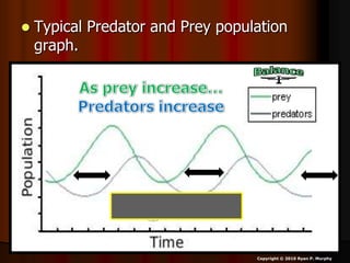  Typical Predator and Prey population
graph.
Copyright © 2010 Ryan P. Murphy
 