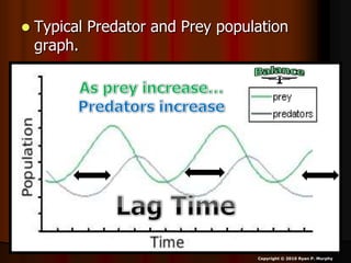  Typical Predator and Prey population
graph.
Copyright © 2010 Ryan P. Murphy
 