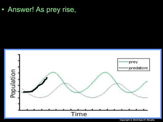 • Answer! As prey rise,
Copyright © 2010 Ryan P. Murphy
 