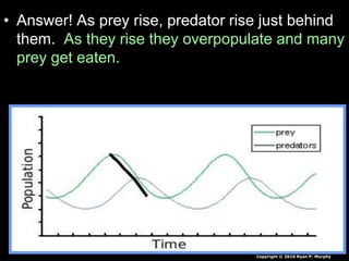 • Answer! As prey rise, predator rise just behind
them. As they rise they overpopulate and many
prey get eaten.
Copyright © 2010 Ryan P. Murphy
 