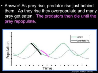 • Answer! As prey rise, predator rise just behind
them. As they rise they overpopulate and many
prey get eaten. The predators then die until the
prey repopulate.
Copyright © 2010 Ryan P. Murphy
 