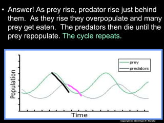 • Answer! As prey rise, predator rise just behind
them. As they rise they overpopulate and many
prey get eaten. The predators then die until the
prey repopulate. The cycle repeats.
Copyright © 2010 Ryan P. Murphy
 