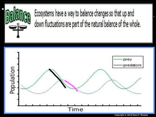 • Answer! As prey rise, predator rise just behind
them. As they rise they overpopulate and many
prey get eaten. The predators then die until the
prey repopulate. The cycle repeats.
Copyright © 2010 Ryan P. Murphy
 