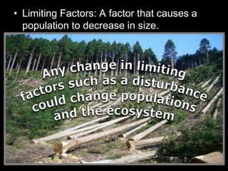 • Limiting Factors: A factor that causes a
population to decrease in size.
– Sunlight
– Water
– Temperature
– Disease
– Parasites
– Predators
– Competition
Density Dependent
Factors
(Other living things)
Density Independent
Factors
(Non-living / Abiotic)
 