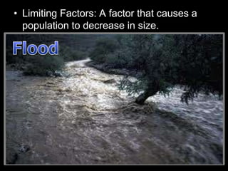 • Limiting Factors: A factor that causes a
population to decrease in size.
– Sunlight
– Water
– Temperature
– Disease
– Parasites
– Predators
– Competition
Density Dependent
Factors
(Other living things)
Density Independent
Factors
(Non-living / Abiotic)
 