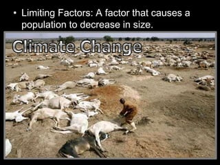 • Limiting Factors: A factor that causes a
population to decrease in size.
– Sunlight
– Water
– Temperature
– Disease
– Parasites
– Predators
– Competition
Density Dependent
Factors
(Other living things)
Density Independent
Factors
(Non-living / Abiotic)
 