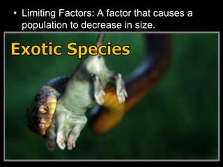 • Limiting Factors: A factor that causes a
population to decrease in size.
– Sunlight
– Water
– Temperature
– Disease
– Parasites
– Predators
– Competition
Density Dependent
Factors
(Other living things)
Density Independent
Factors
(Non-living / Abiotic)
 