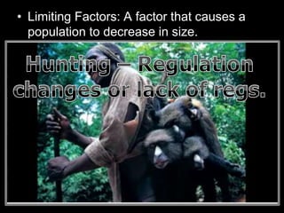 • Limiting Factors: A factor that causes a
population to decrease in size.
– Sunlight
– Water
– Temperature
– Disease
– Parasites
– Predators
– Competition
Density Dependent
Factors
(Other living things)
Density Independent
Factors
(Non-living / Abiotic)
 