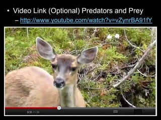 • Video Link (Optional) Predators and Prey
– http://www.youtube.com/watch?v=vZynrBA91fY
 