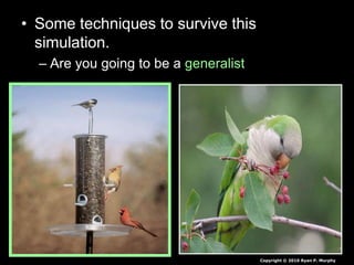• Some techniques to survive this
simulation.
– Are you going to be a generalist
Copyright © 2010 Ryan P. Murphy
 