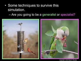 • Some techniques to survive this
simulation.
– Are you going to be a generalist or specialist?
Copyright © 2010 Ryan P. Murphy
 