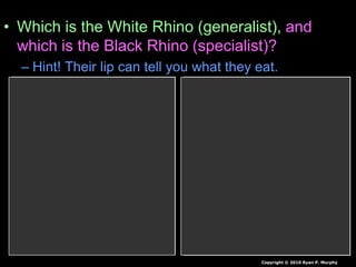 • Which is the White Rhino (generalist), and
which is the Black Rhino (specialist)?
– Hint! Their lip can tell you what they eat.
Copyright © 2010 Ryan P. Murphy
 