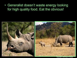 • Generalist doesn’t waste energy looking
for high quality food. Eat the obvious!
Copyright © 2010 Ryan P. Murphy
 