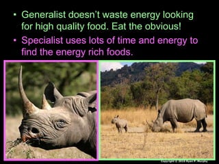 • Generalist doesn’t waste energy looking
for high quality food. Eat the obvious!
• Specialist uses lots of time and energy to
find the energy rich foods.
Copyright © 2010 Ryan P. Murphy
 