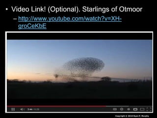 • Video Link! (Optional). Starlings of Otmoor
– http://www.youtube.com/watch?v=XH-
groCeKbE
Copyright © 2010 Ryan P. Murphy
 