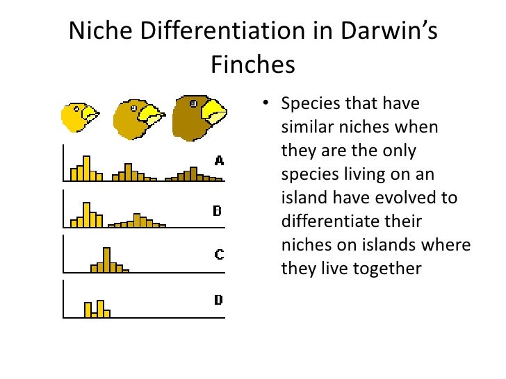 Competition in animals and plants