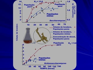 14               K1 = 13.0                          1.8
                     12                                      População




                                                                               Concentração de
                              População
                                 pura                           pura




                                                                                  álcool (%)
                     10
                      8                                                  1.0
                      6                             Populações
                                                    mistas
                      4
                      2                                Saccharomyces 0.2

                                10    20   30     40    50     60   70
Volume de levedura




                                                          Volume de levedura,
                                                          Populações puras
                                                          Volume de levedura,
                                                          Populações mistas
                                                          Concentração de álcool,
                                                          Populações puras

                                                          População       K 2 = 5.8
                          6                                  pura
                          5
                          4
                          3
                          2                Populações
                                           mistas
                          1
                                                  Schizosaccharomyces
                                 20   40   60 80 100 120 140
                                            TEMPO (horas)
 