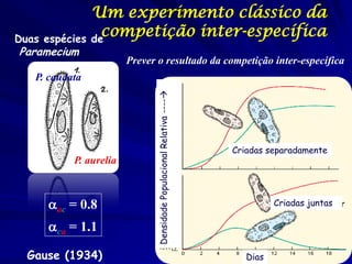 Um experimento clássico da
Duas espécies de
                competição inter-específica
Paramecium
                       Prever o resultado da competição inter-específica
  P. caudata




                             Densidade Populacional Relativa ----
                                                                     Criadas separadamente
          P. aurelia



    ac = 0.8                                                                  Criadas juntas

    ca = 1.1

 Gause (1934)                                                           Dias
 