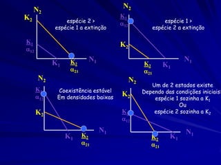 N2
     N2
K2                                   K1
                espécie 2 >          12                  espécie 1 >
            espécie 1 a extinção                      espécie 2 a extinção

K1                                   K2
12

                  K2      N1                                      N1
            K1                                  K2       K1
                  21                           21
      N2                                   N2
                                                   Um de 2 estados existe
      K1      Coexistência estável              Dependo das condições iniciais:
      12    Em densidades baixas
                                     K2
                                                    espécie 1 sozinha a K1
                                                             Ou
      K2                             K1             espécie 2 sozinha a K2
                                     12
                               N1                                 N1
                 K1     K2                         K2       K1
                        21                        21
 