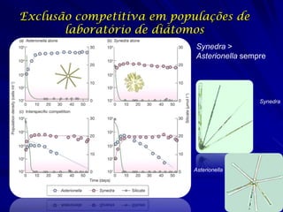 Exclusão competitiva em populações de
       laboratório de diátomos
                            Synedra >
                            Asterionella sempre




                                             Synedra




                            Asterionella
 