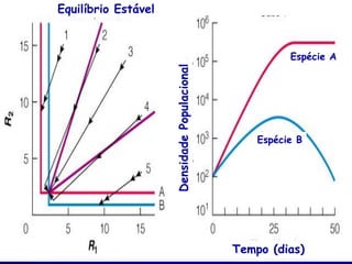 Equilíbrio Estável



                                                        Espécie A




                     Densidade Populacional
                                                  Espécie B




                                              Tempo (dias)
 