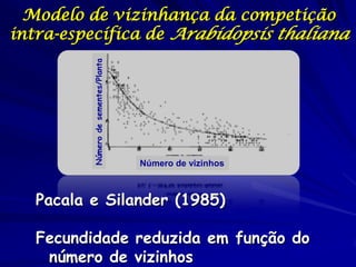 Modelo de vizinhança da competição
intra-específica de Arabidopsis thaliana


          Número de sementes/Planta




                                      Número de vizinhos



   Pacala e Silander (1985)

   Fecundidade reduzida em função do
    número de vizinhos
 