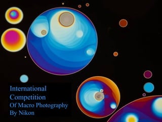 International
Competition
Of Macro Photography
By Nikon
 
