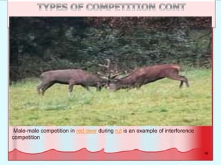 10
.
Male-male competition in red deer during rut is an example of interference
competition
 