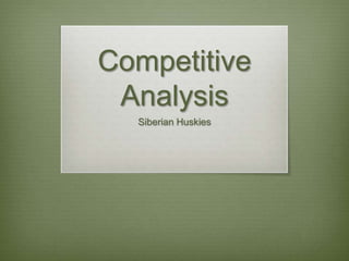 Competitive
 Analysis
  Siberian Huskies
 