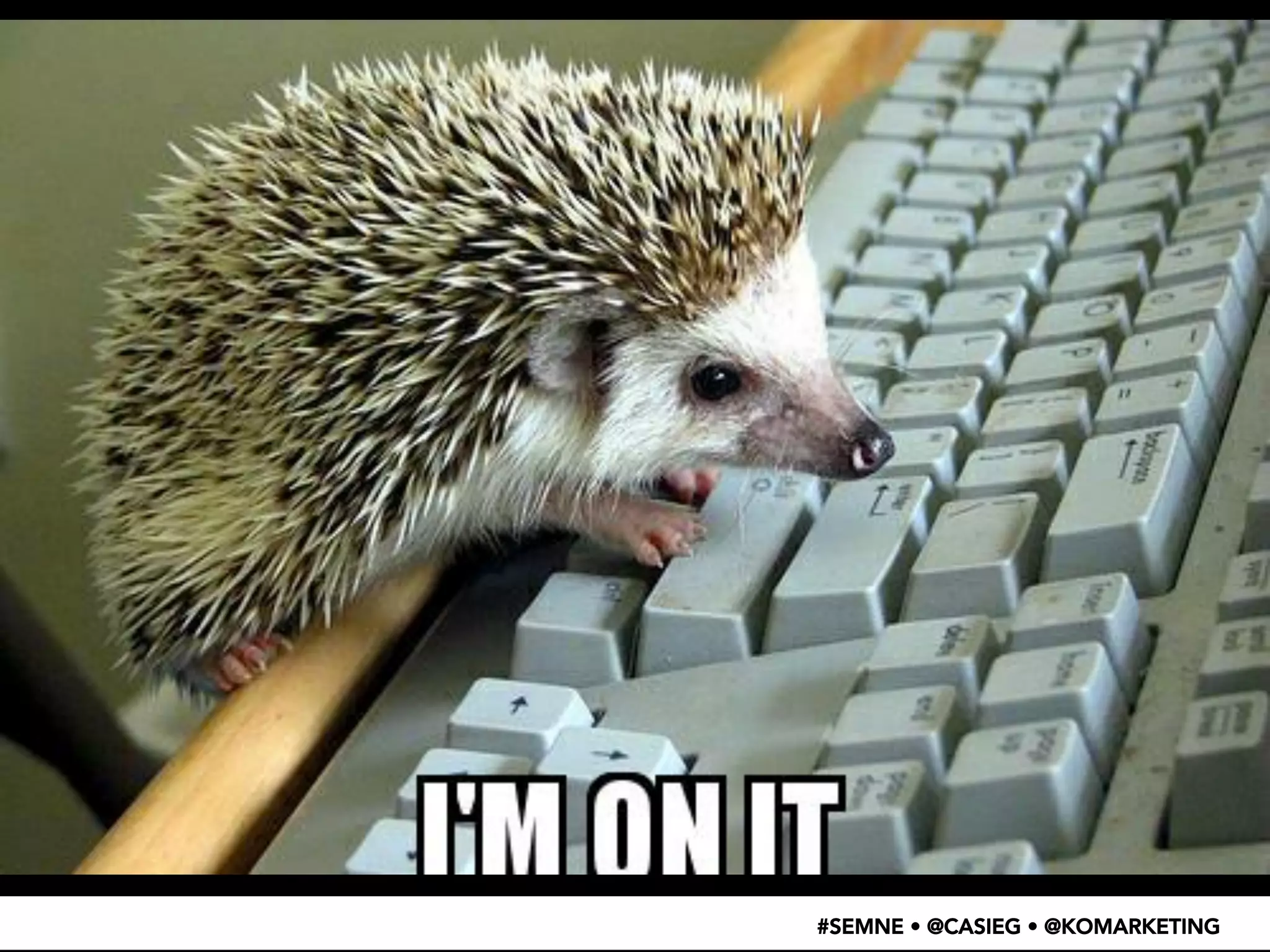 #SEMNE • @CASIEG • @KOMARKETING 
 