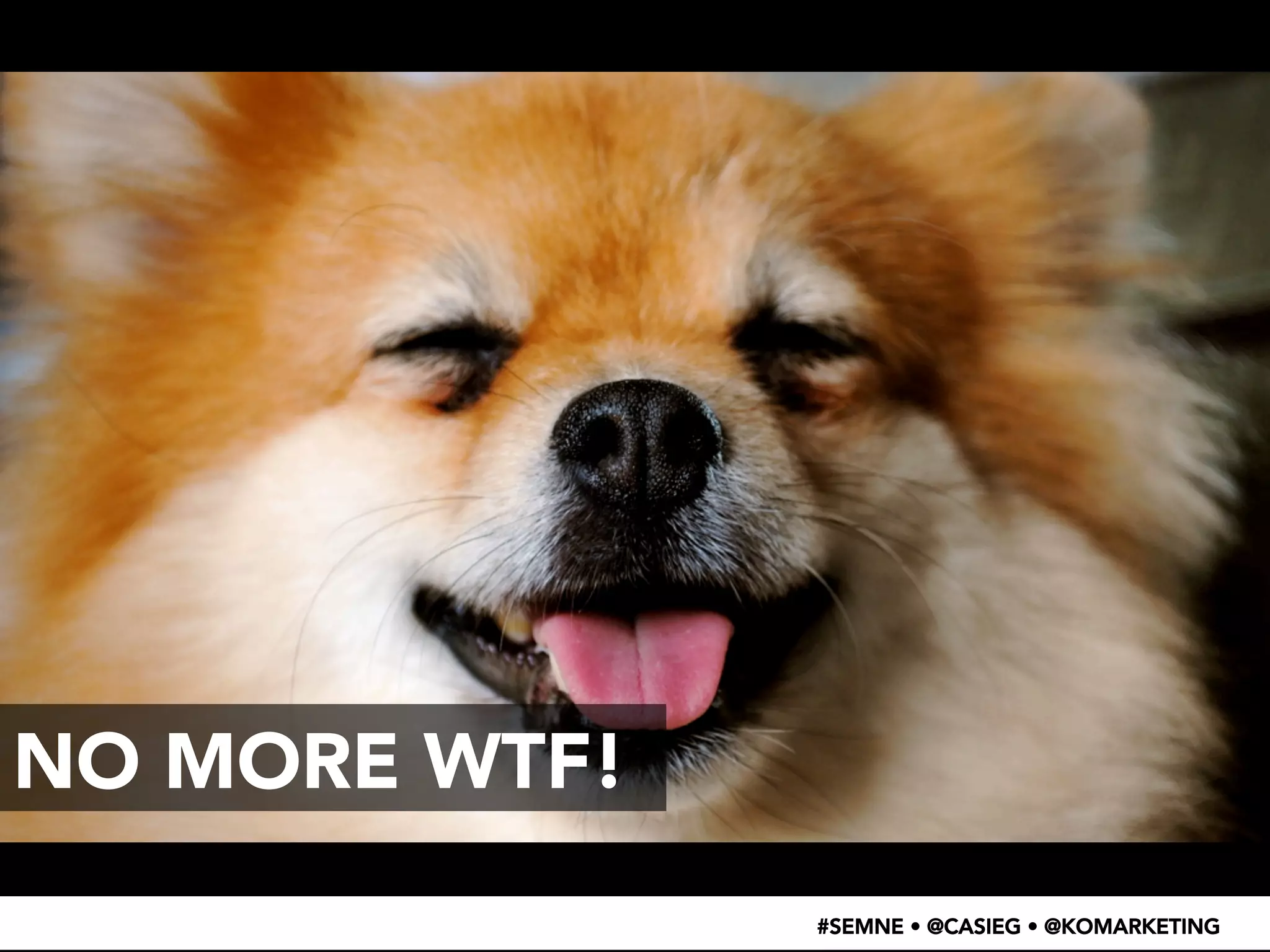 #SEMNE • @CASIEG • @KOMARKETING 
NO MORE WTF! 
 