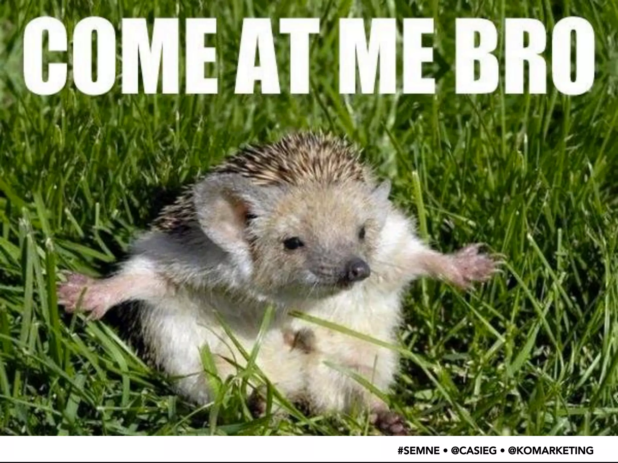 #SEMNE • @CASIEG • @KOMARKETING 
 