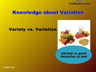 Module One
YouKaizen.com
Variety is good
Variation is bad
Variety vs. Variation
 