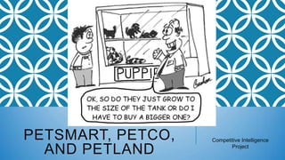 PETSMART, PETCO,
AND PETLAND

Competitive Intelligence
Project

 