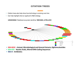 CITATION TREES
• Citation trees also help show how technology is evolving over time
• Can help highlight what an applicant’s R&D strategy
US5453284A “Stabilized enzymatic dentifrice” MICHAEL A PELLICO
• B04-B03C – Animal, Microbiological and General Extracts; Oglioneculeotides
• B04-E02 - Nucleic Acids, Altered DNA Coding Sequences
• B02-D - Antibiotics
 