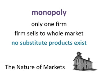 only one firmfirm sells to whole marketno substitute products existmonopolyThe Nature of Markets