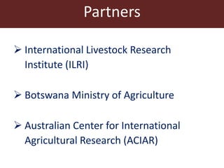 Competitive smallholder livestock in Botswana