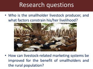 Competitive smallholder livestock in Botswana