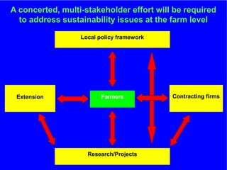 The role of Contract Farming in the Development of a Competitive and Sustainable Cassava Sub-sector in Vietnam